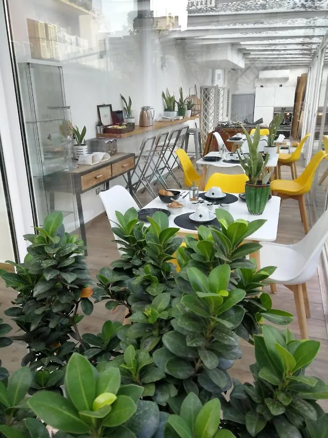 Il Giardino Dei Limoni Acomodação com café da manhã Aci Castello Alojamento de Acomodação e Pequeno-almoço